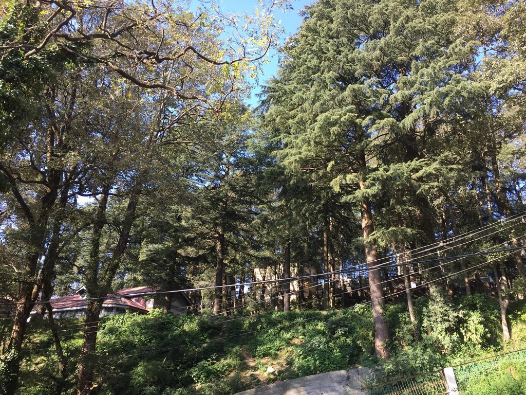 Dingle House , A Heritage House 댈하우지 외부 사진